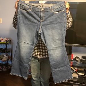Torrid jeans